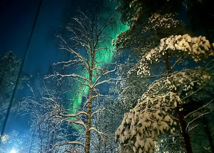 Arctic Forest * روفانييمي